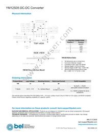 YM12S05 Datasheet Page 19