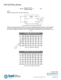 YNL12S10050-0G Datasheet Page 6
