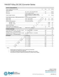 YNV05T10033-D Datasheet Page 3