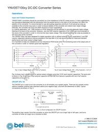 YNV05T10033-D Datasheet Page 4