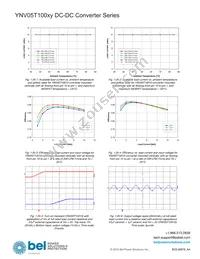 YNV05T10033-D Datasheet Page 17