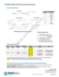 YNV05T10033-D Datasheet Page 20