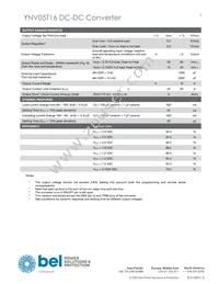 YNV05T16-0 Datasheet Page 3