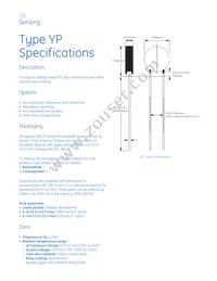 YPCL0010T Datasheet Page 2