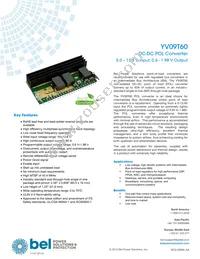 YV09T60-0G Datasheet Cover