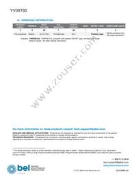 YV09T60-0G Datasheet Page 12