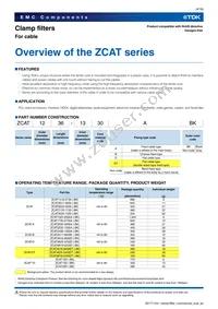 ZCAT20D-BK Datasheet Page 4