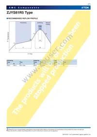 ZJYS81R5-2P50T-G01 Datasheet Page 4