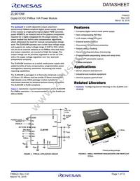 ZL9010MIRZ-T Cover