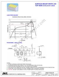 ZSM-T3020-W Datasheet Page 5