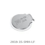 2019-15-SMH-LF