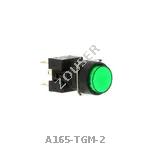 A165-TGM-2