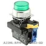 A22NL-RPM-TGA-G002-GD