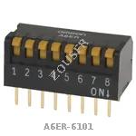 A6ER-6101