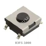 B3FS-1000