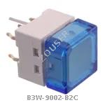 B3W-9002-B2C