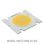 BXRA-50C5300-H-04