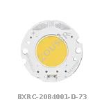 BXRC-20B4001-D-73