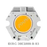 BXRC-30E1000-B-03