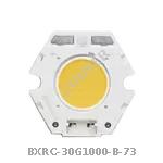 BXRC-30G1000-B-73