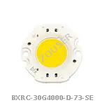 BXRC-30G4000-D-73-SE