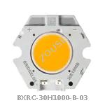 BXRC-30H1000-B-03