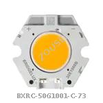 BXRC-50G1001-C-73