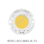 BXRC-65C4001-B-73