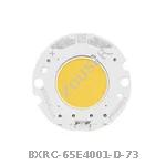 BXRC-65E4001-D-73