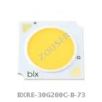 BXRE-30G200C-B-73