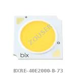 BXRE-40E2000-B-73