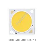 BXRE-40E4000-B-73