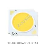 BXRE-40G2000-B-73