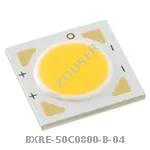 BXRE-50C0800-B-04