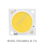 BXRE-50G4001-B-74