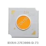 BXRH-27E3000-D-73