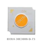 BXRH-30E3000-D-73