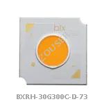 BXRH-30G300C-D-73