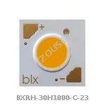 BXRH-30H1000-C-23