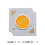 BXRH-35G1000-B-73