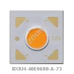 BXRH-40E0600-A-73