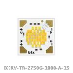 BXRV-TR-2750G-1000-A-15
