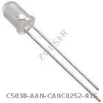 C503B-AAN-CA0C0252-015