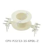 CPV-P22/13-1S-6PDL-Z