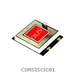 CSMS15CIC01