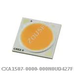 CXA1507-0000-000N0UD427F