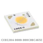 CXB1304-0000-000C0BC465E