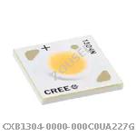 CXB1304-0000-000C0UA227G