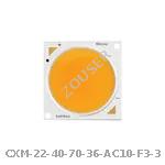 CXM-22-40-70-36-AC10-F3-3