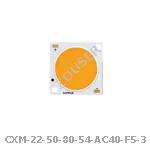 CXM-22-50-80-54-AC40-F5-3